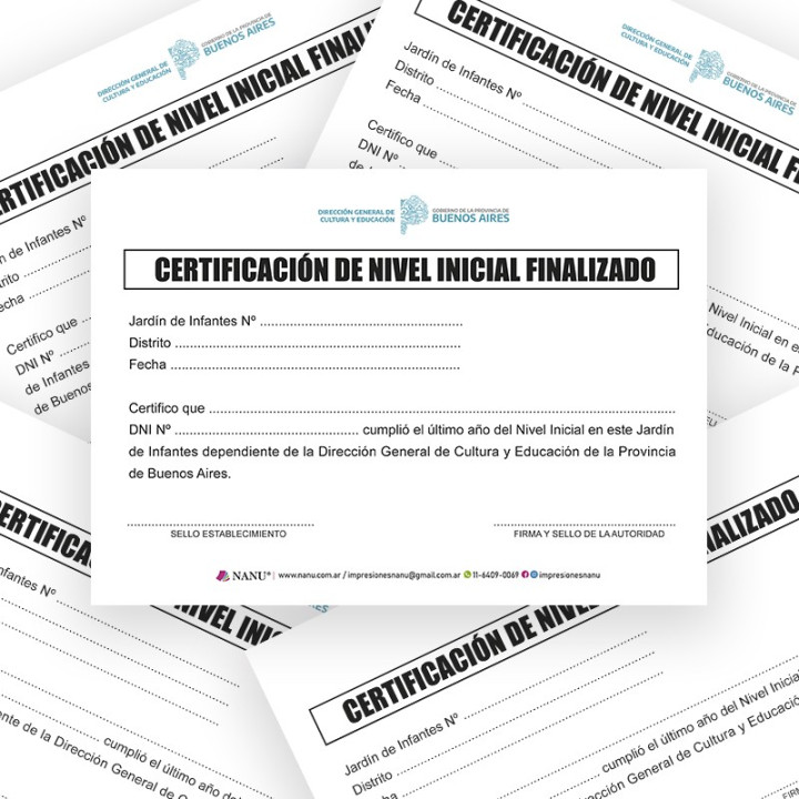 CONSTANCIA DE NIVEL INICIAL FINALIZADO