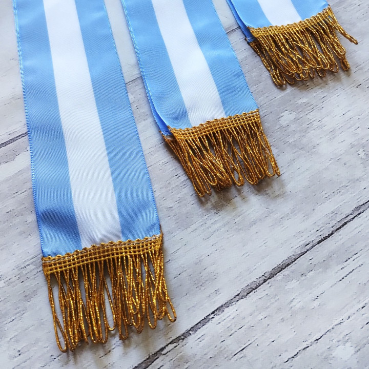 BANDA ARGENTINA PROMESA A LA BANDERA PREMIUM