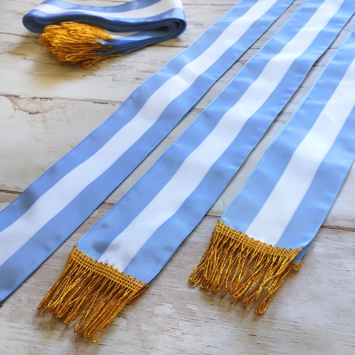 BANDA ARGENTINA PROMESA A LA BANDERA PREMIUM