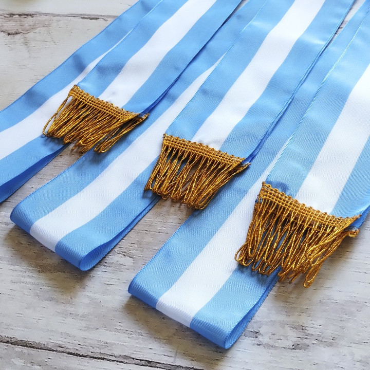 BANDA ARGENTINA PROMESA A LA BANDERA PREMIUM