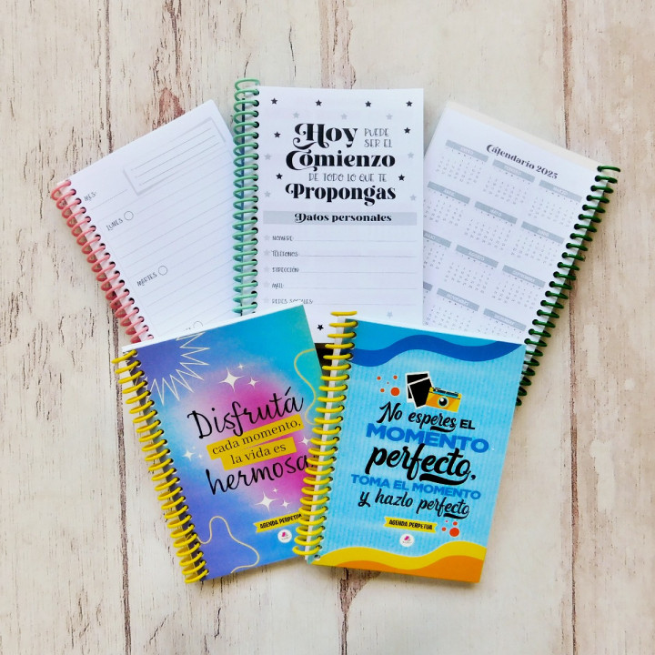 AGENDA PERPETUA A6 FRASES B&N Conv.