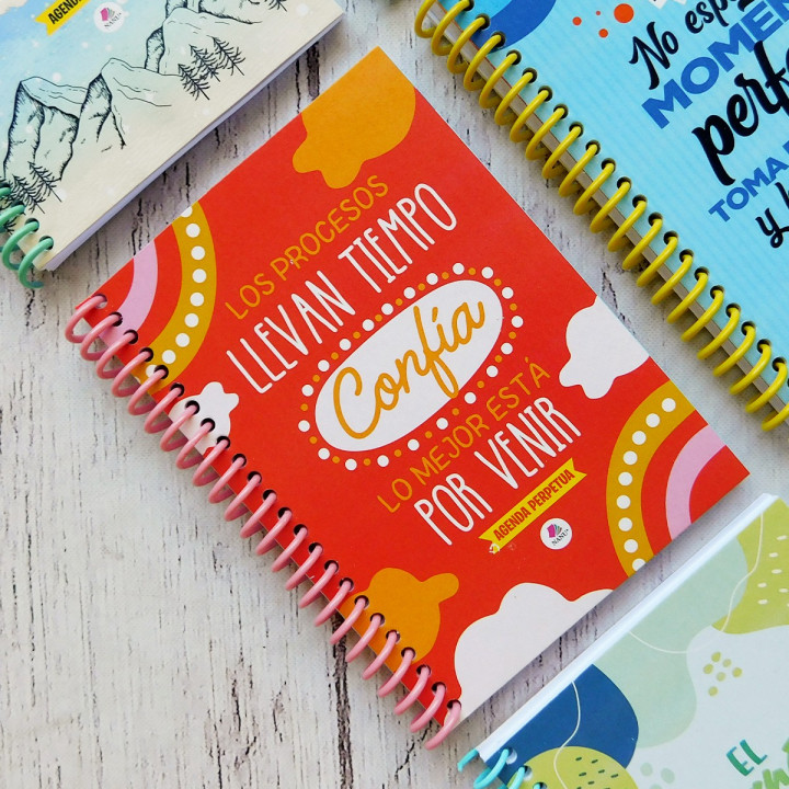 AGENDA PERPETUA A6 FRASES B&N Conv.