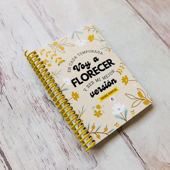 AGENDA PERPETUA A6 FRASES B&N Conv.