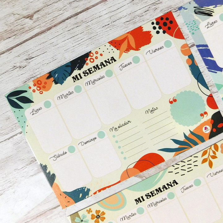 PLANNER SEMANAL A4 IMANTADO Conv.