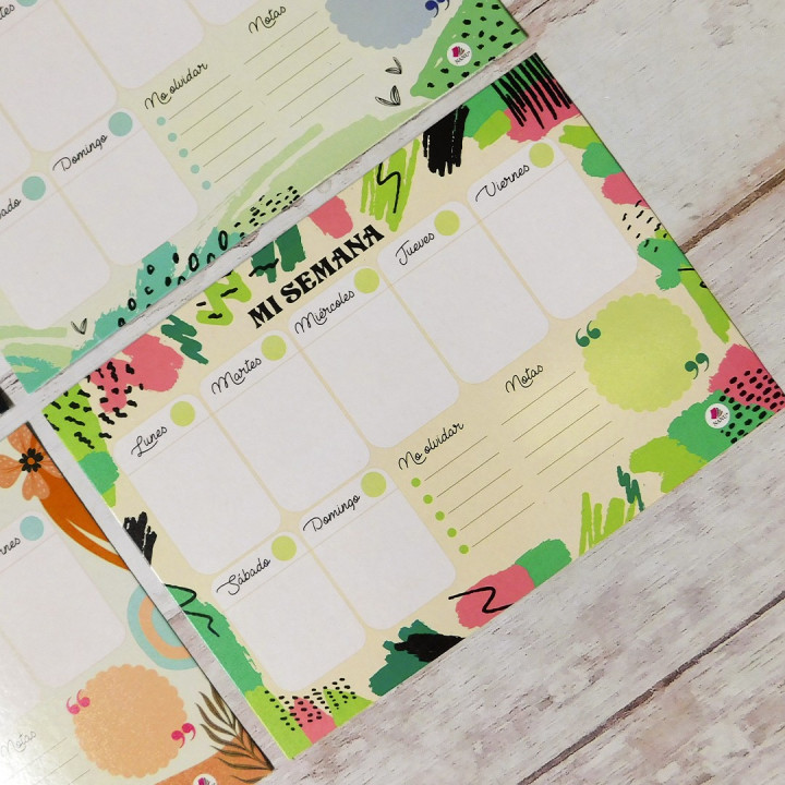PLANNER SEMANAL A4 IMANTADO Conv.