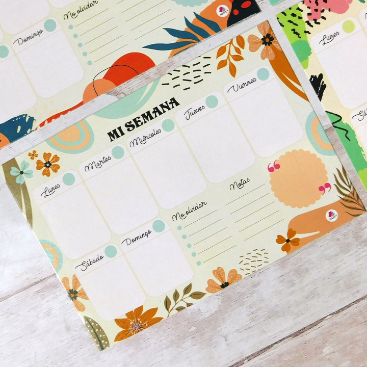PLANNER SEMANAL A4 IMANTADO Conv.