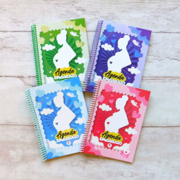 AGENDA DE EMBARAZO Int. Full Color Conv