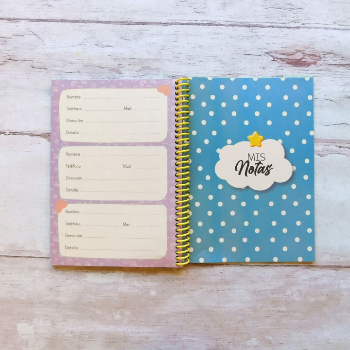 AGENDA PEDIATRICO INT. FULL COLOR CONV