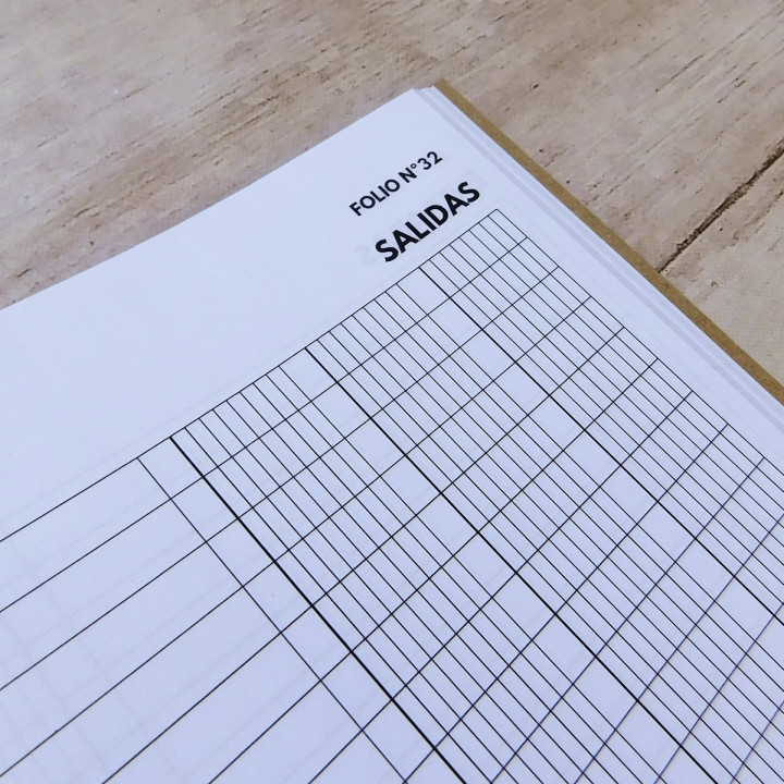 LIBRO DE BALANCE