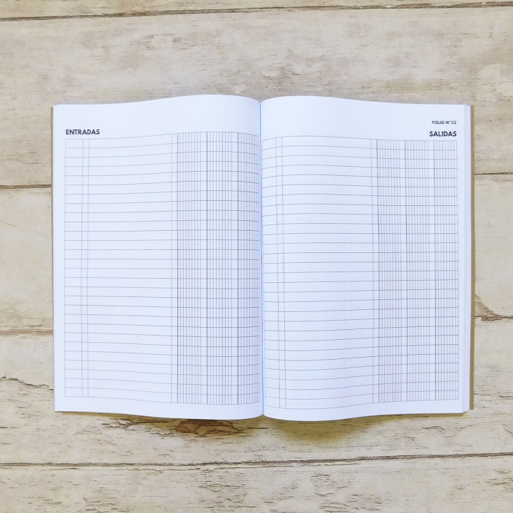 LIBRO DE BALANCE