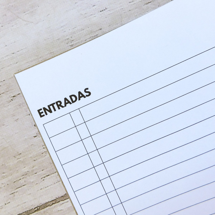 LIBRO DE BALANCE