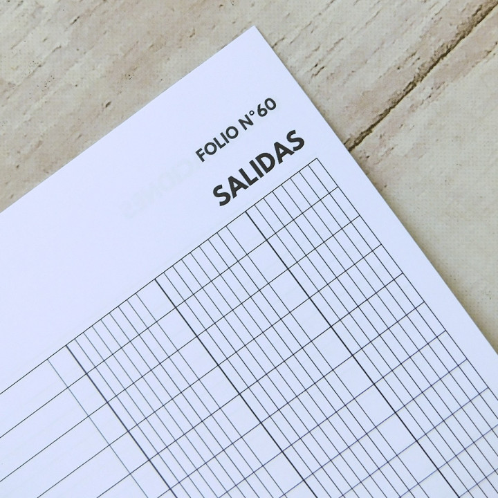 LIBRO DE BALANCE