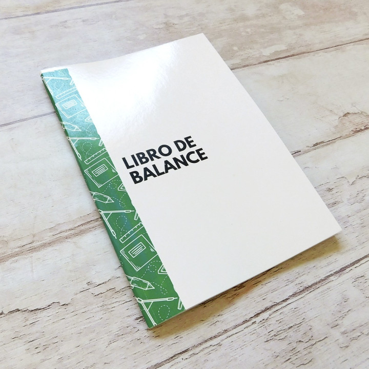 LIBRO DE BALANCE