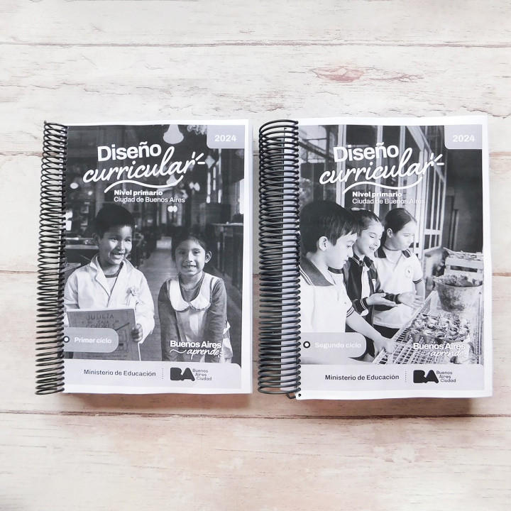 NUEVO DISEÑO CURRICULAR CABA COMPLETO