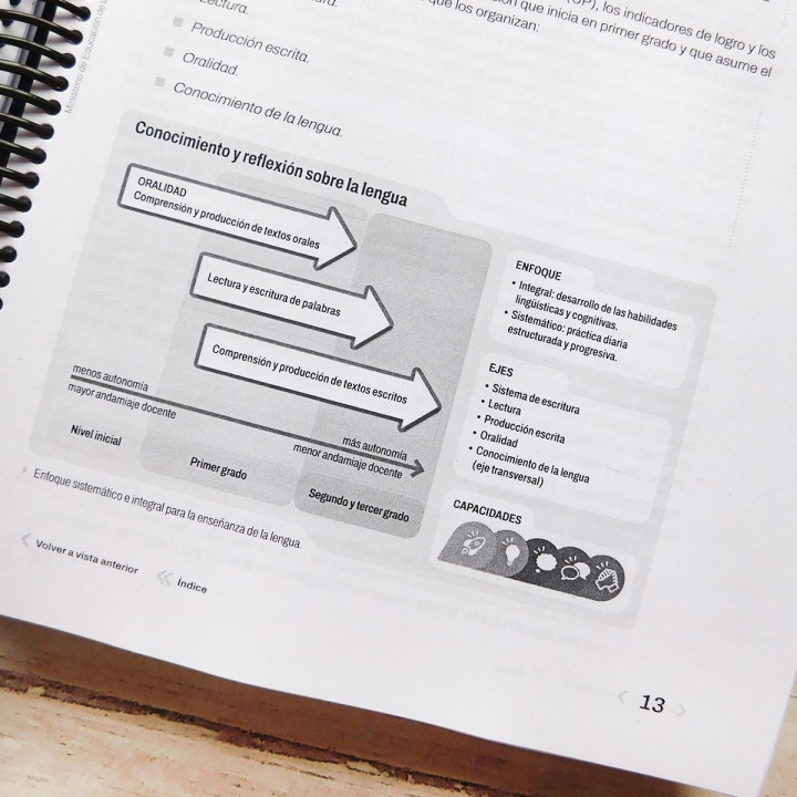 NUEVO DISEÑO CURRICULAR CABA COMPLETO