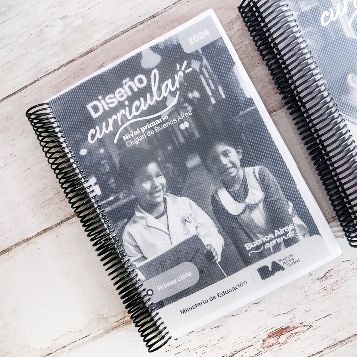 NUEVO DISEÑO CURRICULAR CABA COMPLETO