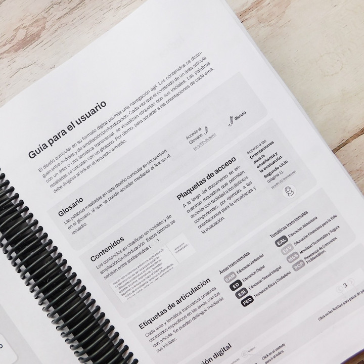 NUEVO DISEÑO CURRICULAR CABA COMPLETO