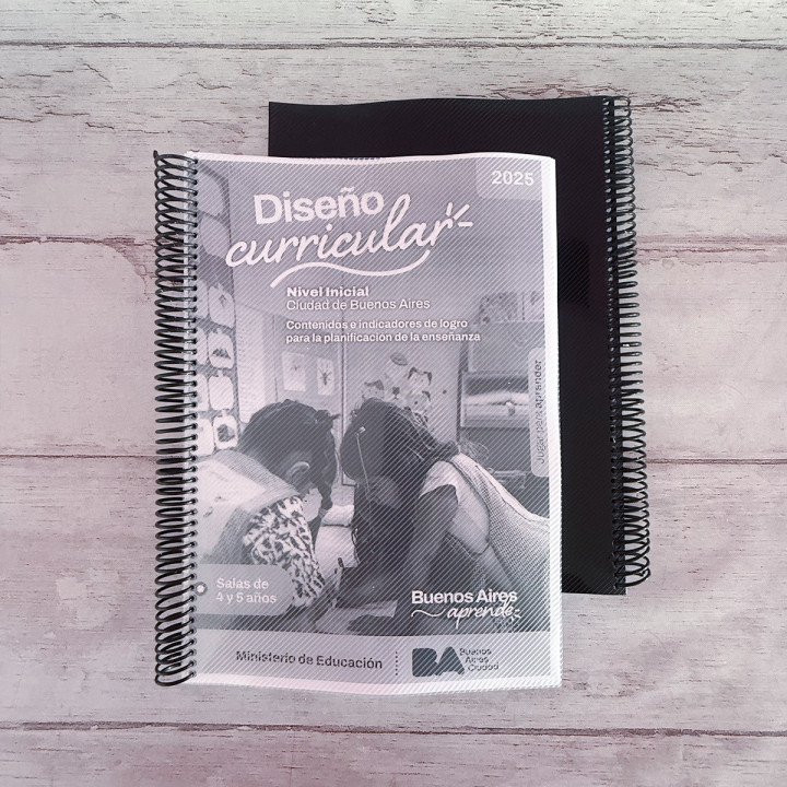 Libro Diseño Curricular Nivel Inicial 2025 CABA sala de 4 y 5 años