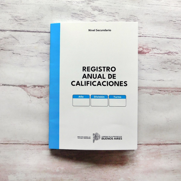 REGISTRO ANUAL DE CALIFICACIONES Prov Bs As