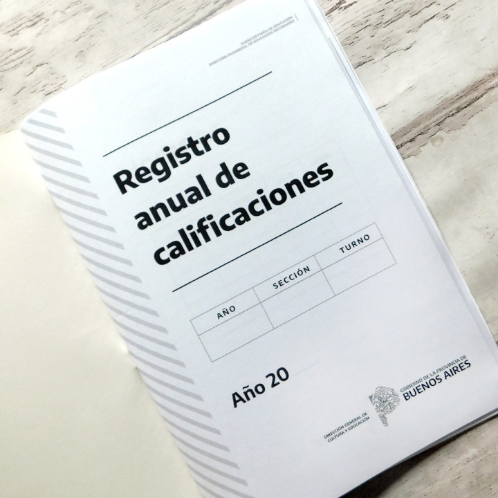 REGISTRO ANUAL DE CALIFICACIONES Prov Bs As