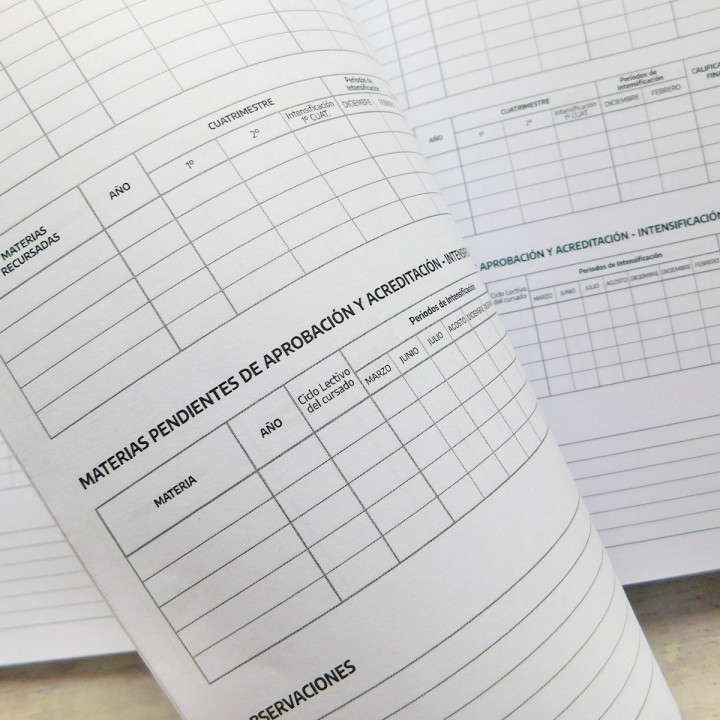 REGISTRO ANUAL DE CALIFICACIONES Prov Bs As