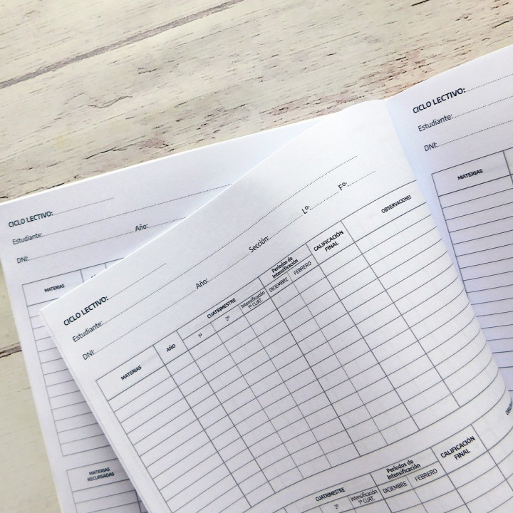REGISTRO ANUAL DE CALIFICACIONES Prov Bs As