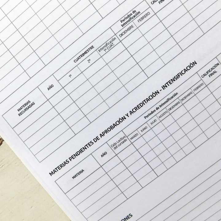 REGISTRO ANUAL DE CALIFICACIONES Prov Bs As