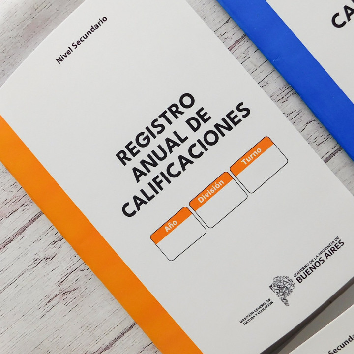 REGISTRO ANUAL DE CALIFICACIONES Prov Bs As