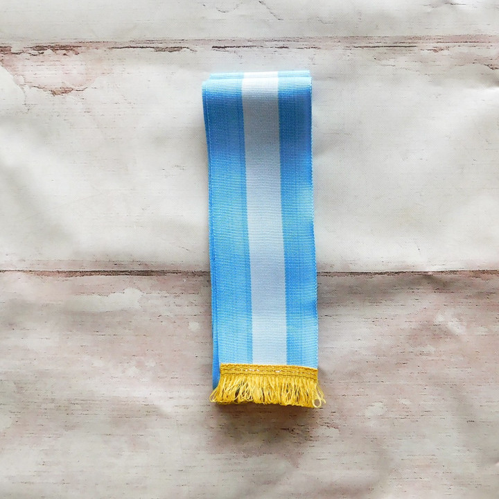 BANDA ARGENTINA  PROMESA A LA BANDERA ECONOMICA