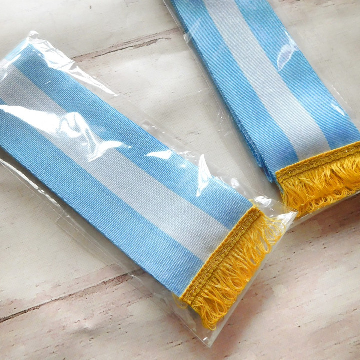 BANDA ARGENTINA  PROMESA A LA BANDERA ECONOMICA