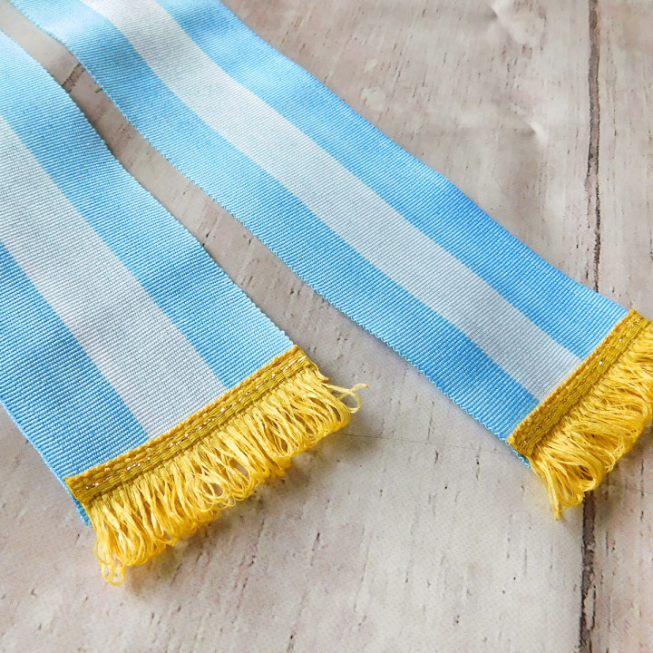 BANDA ARGENTINA  PROMESA A LA BANDERA ECONOMICA