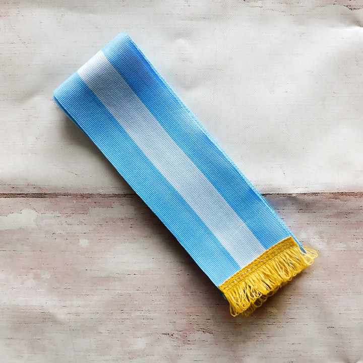 BANDA ARGENTINA  PROMESA A LA BANDERA ECONOMICA
