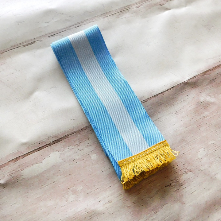 BANDA ARGENTINA  PROMESA A LA BANDERA ECONOMICA