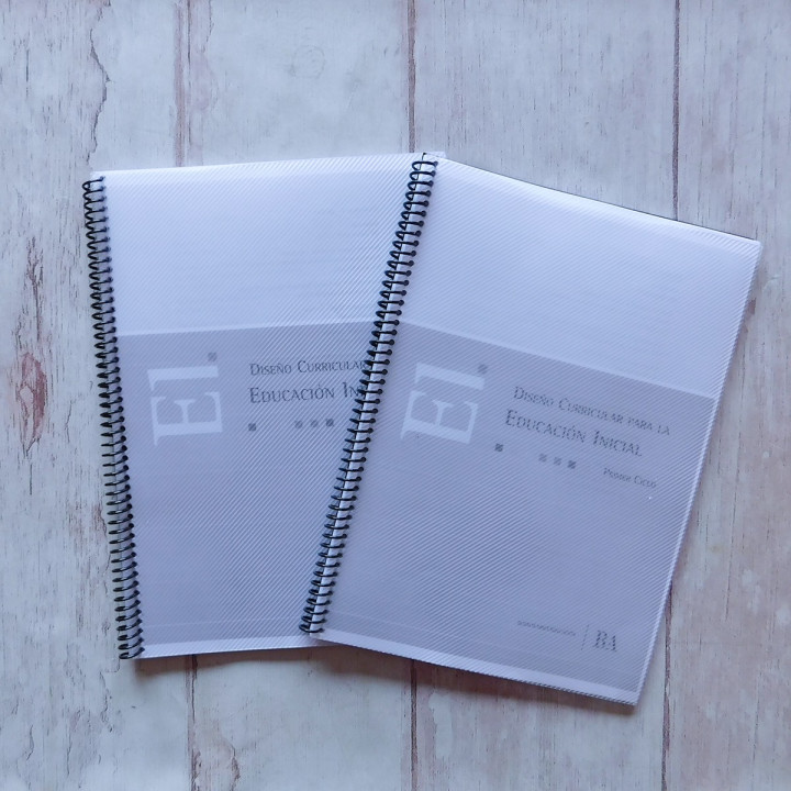 Libro Diseño Curricular Nivel Maternal Prov Bs As