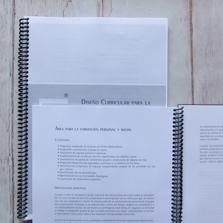 Libro Diseño Curricular Nivel Maternal Prov Bs As