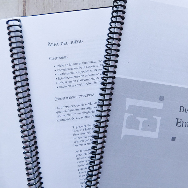 Libro Diseño Curricular Nivel Maternal Prov Bs As
