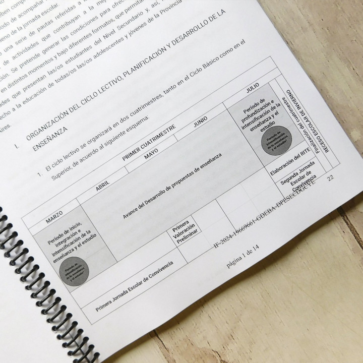 LIBRO REGIMEN ACADEMICO NIVEL SECUNDARIO