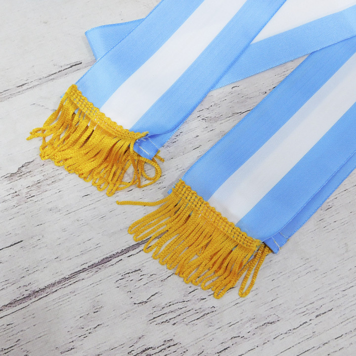 BANDA ARGENTINA PROMESA A LA BANDERA PREMIUM