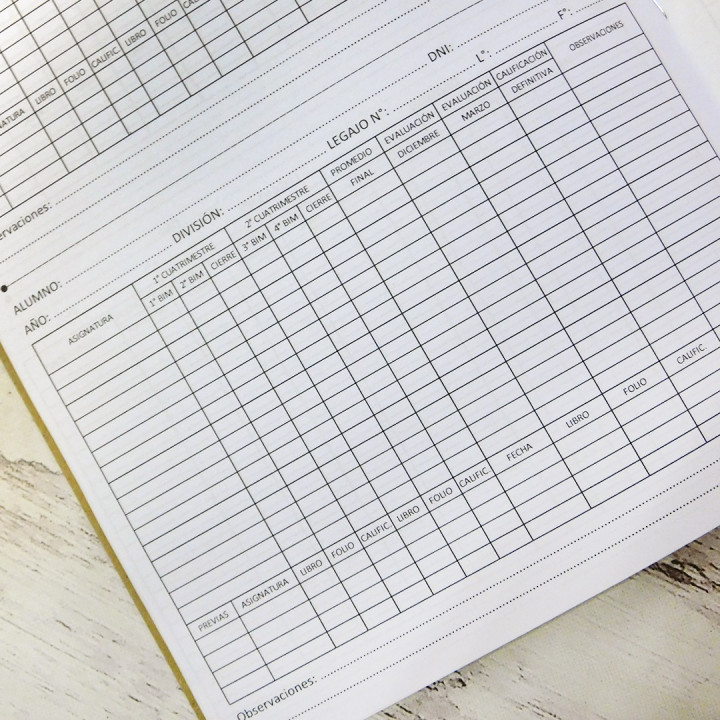 REGISTRO ANUAL DE CALIFICACIONES