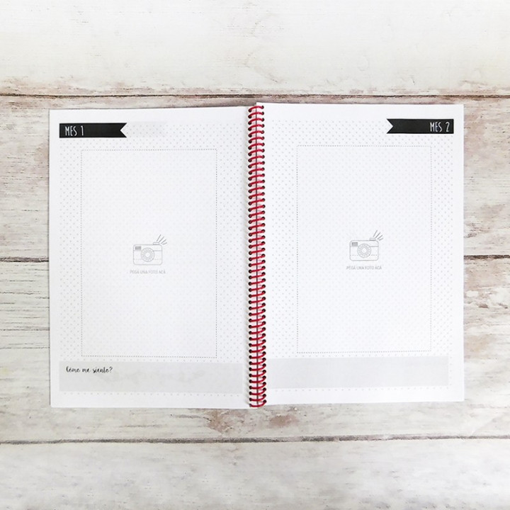 AGENDA CONTROL DE EMBARAZO Int B&N Conv.