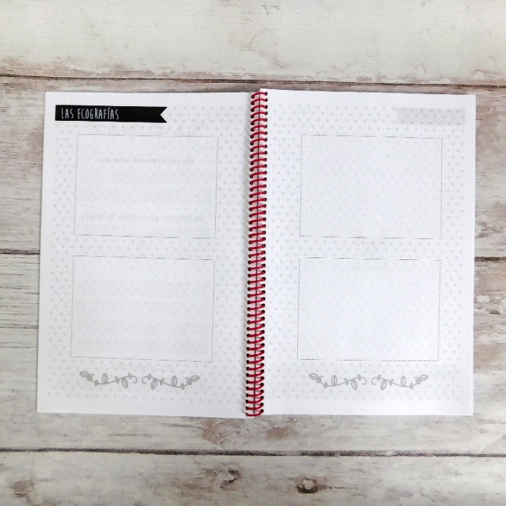 AGENDA CONTROL DE EMBARAZO Int B&N Conv.
