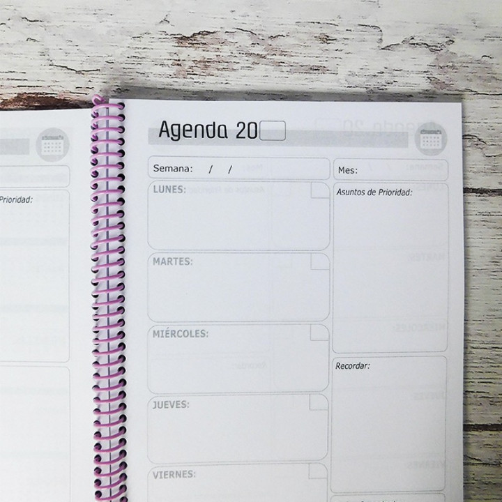 AGENDA DOCENTE TAMAÑO EJECUTIVO