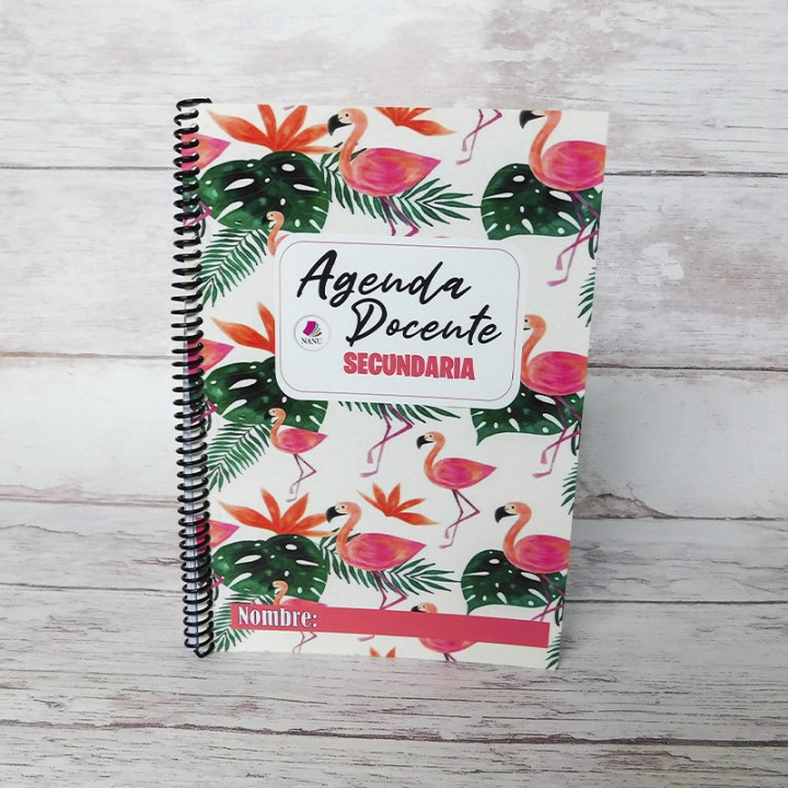 AGENDA DOCENTE TAMAÑO EJECUTIVO