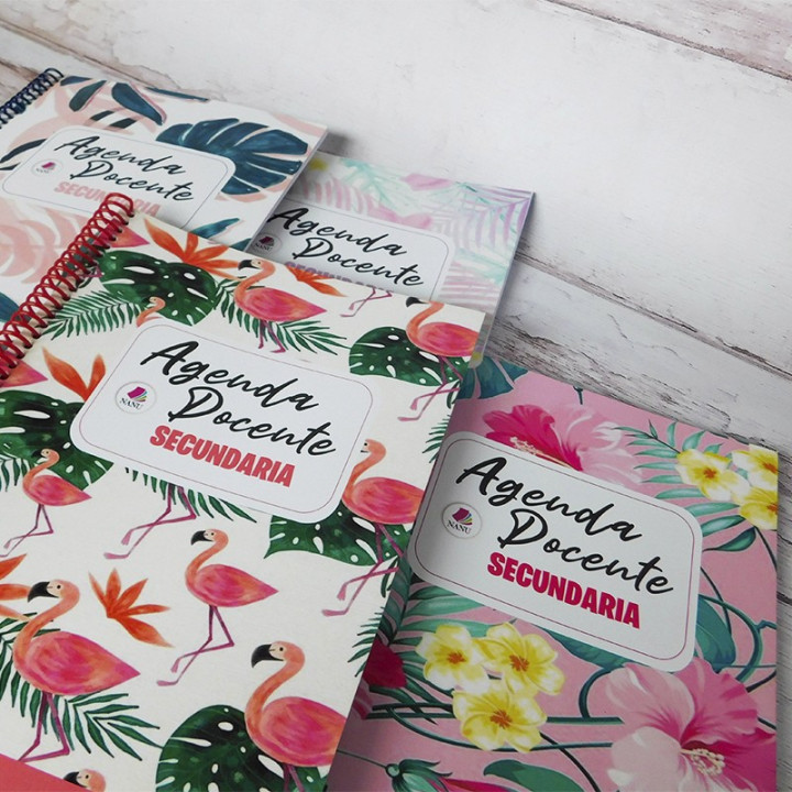 AGENDA DOCENTE TAMAÑO EJECUTIVO