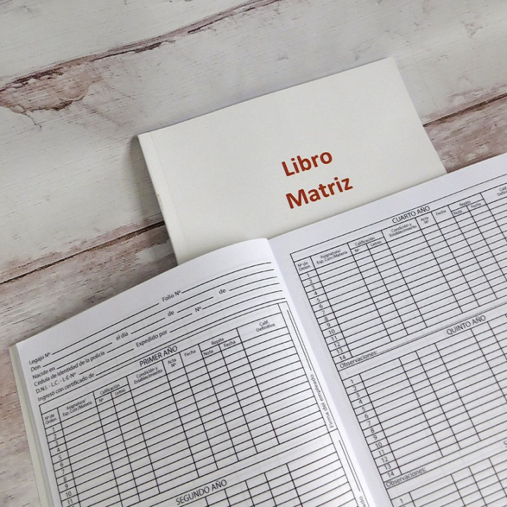 LIBRO MATRIZ