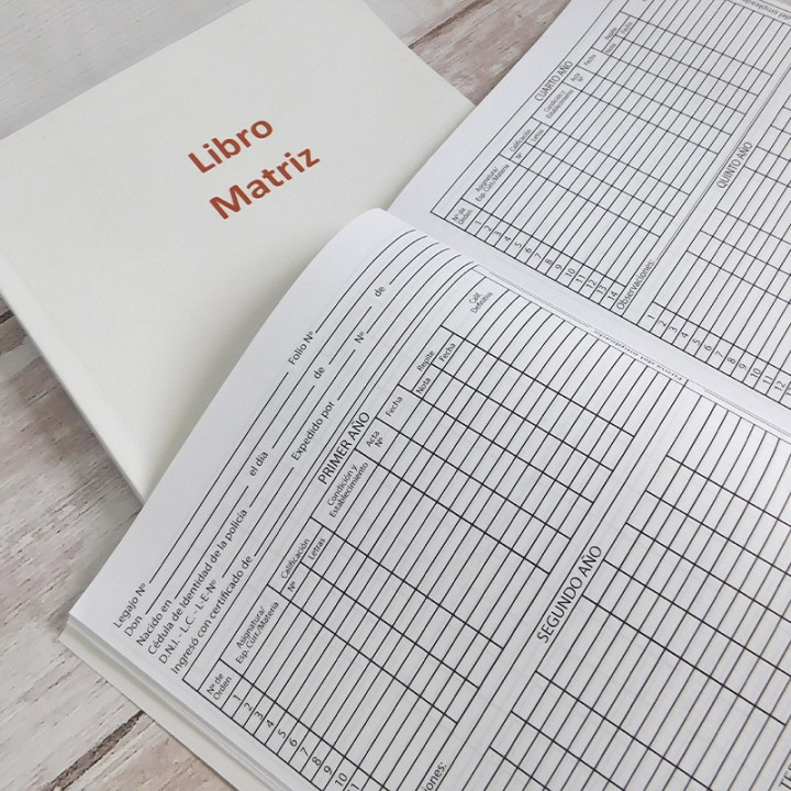 LIBRO MATRIZ