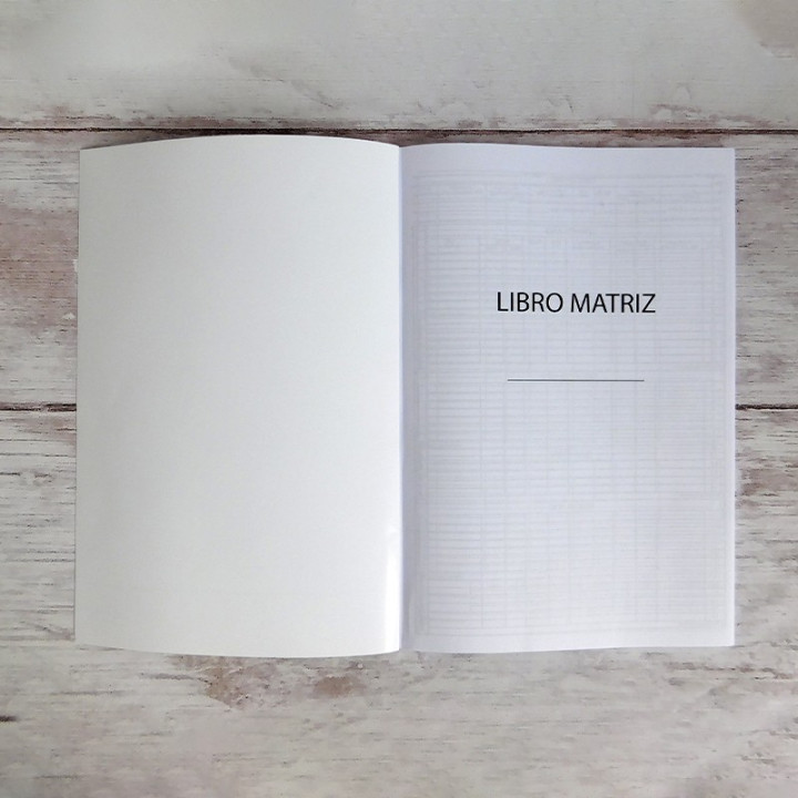 LIBRO MATRIZ